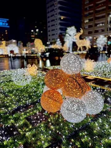 煌めく光の玉、幻想的な夜景