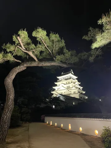 忍び寄る闇と白鷺城