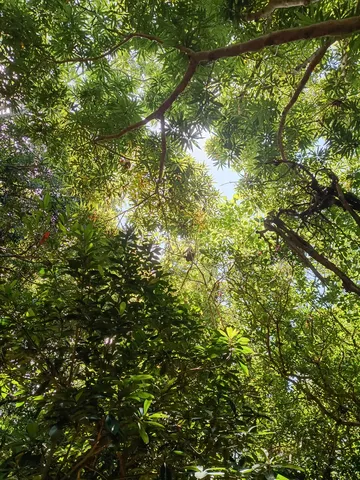 木陰の静かな光景
