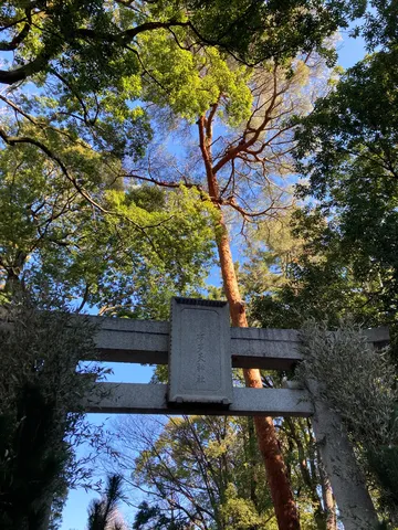 鳥居と木漏れ日、異世界への入り口？