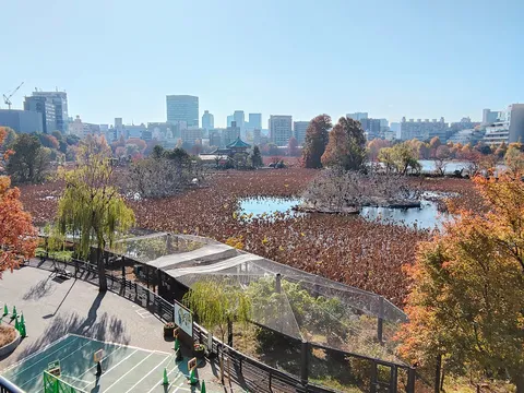 秋枯れに染まる都会のオアシス