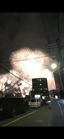夜空を彩る大輪の花火