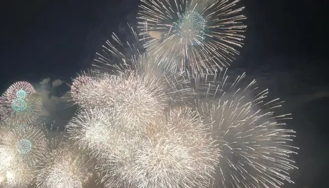 夜空を彩る光の饗宴