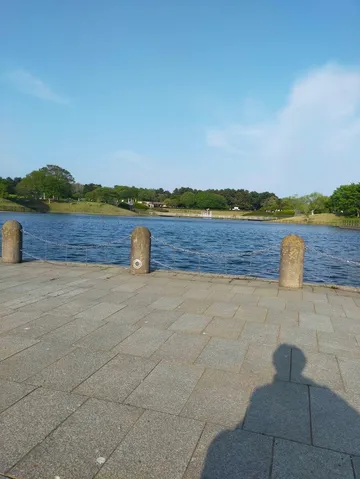 水辺の静かな風景