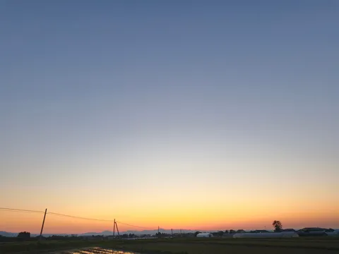夕暮れ、水田と電線