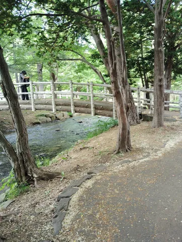 木漏れ日と小川のせせらぎ