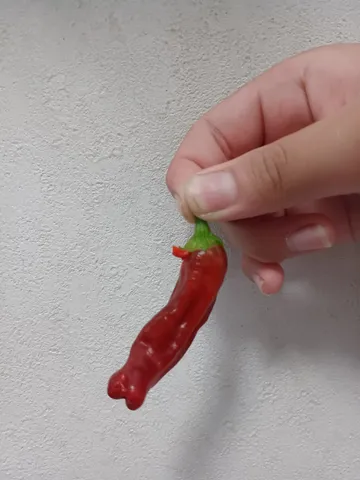 意外な形をした唐辛子