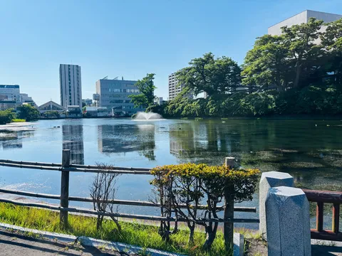 都会のオアシス、水辺の静寂