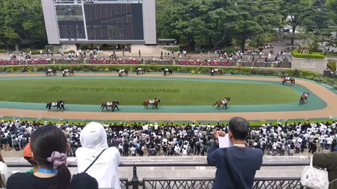 競馬場の賑わい、大画面に注目