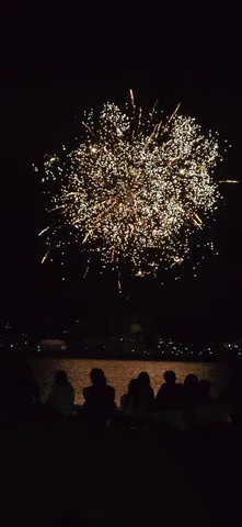 夜空に咲く金色の波