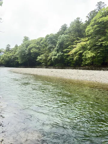 静寂の川辺、木漏れ日の緑