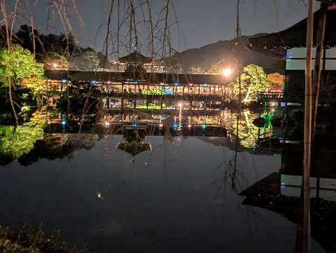 夜の水面に映る彩り