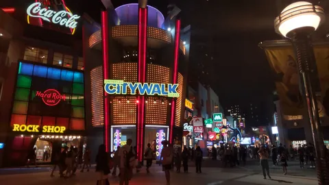煌めく夜のシティウォーク