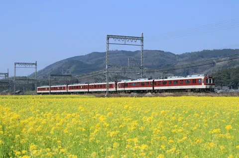 菜の花の中、列車も春満喫中？