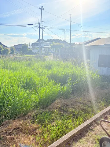 夏の空と草のコントラスト