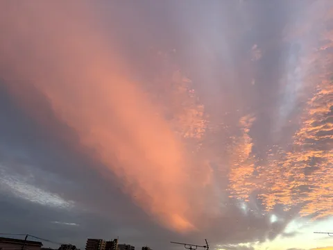 空がピンクでびっくり箱