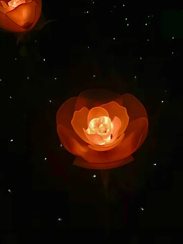 夜空に咲く幻想の花