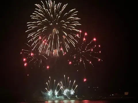 夜空に咲く大輪の花