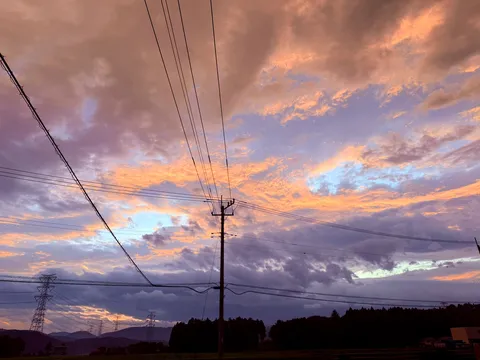 電線と夕焼けのコントラスト