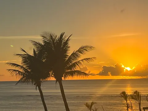 夕陽に染まる海と椰子