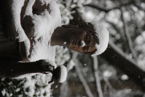 雪を纏う像の佇まい