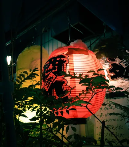 夜に灯る、提灯の艶やかな光