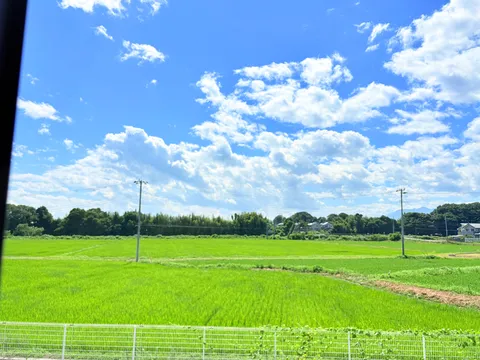 青空と緑の記録