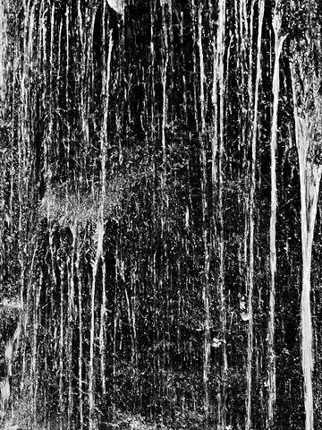 雨の縦列が紡ぐ静寂