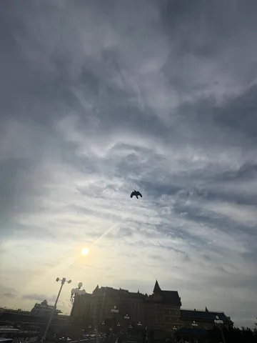 空を翔ける翼、彼方への旅立ち