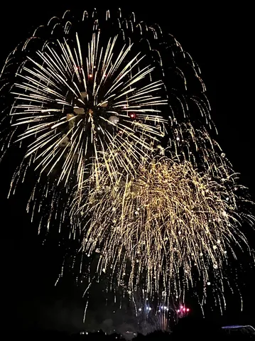 夜空を泳ぐ黄金の花火