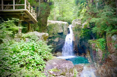緑深き、癒やしの滝壺。