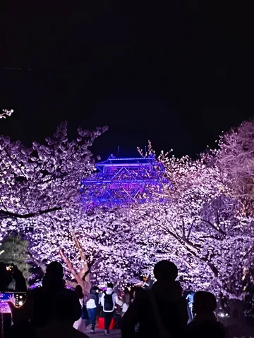 夜桜と幻想の城