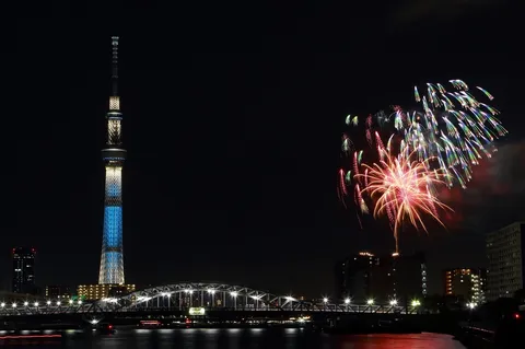 東京の夜に咲く光の競演
