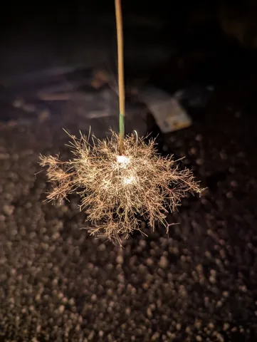夜空を飾る星明かり