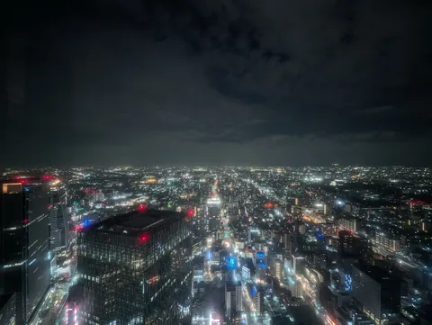 夜景に広がる無限の光