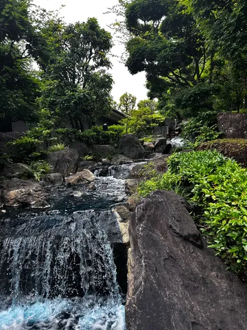 緑と水の小さな滝
