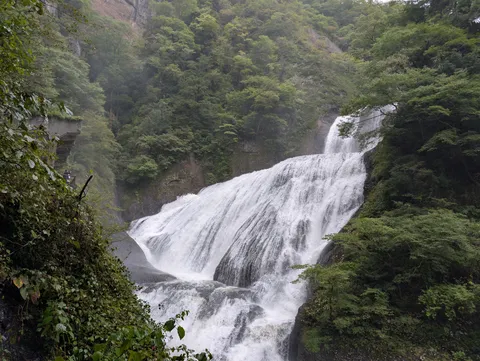 緑と水が歌う滝の景