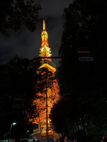 漆黒に灯る、情熱のタワー