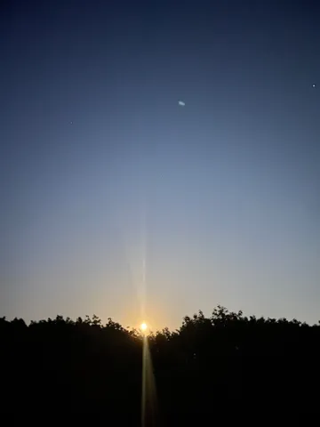 静寂に沈む森と光の筋