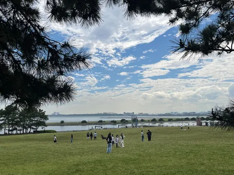松の木陰、水辺の群像