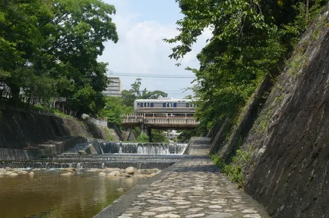 水辺に響く緑の道