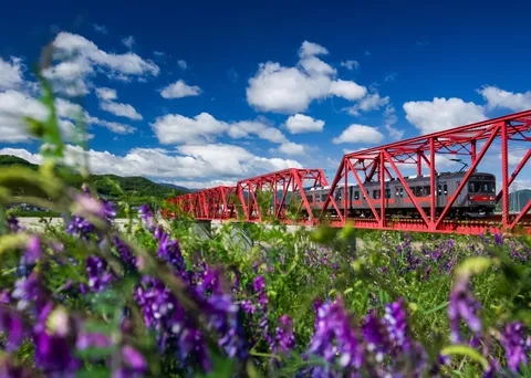 青空と花咲く赤い鉄橋