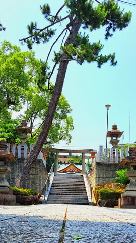 木漏れ日と石段の参道