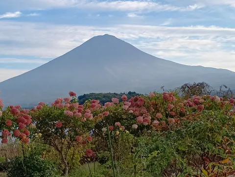 秋の富嶽