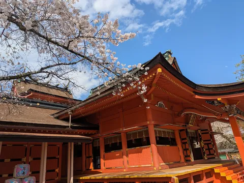 春告げる朱色の社と桜
