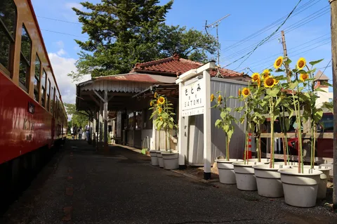ひまわりとレトロ駅舎、旅情を誘う風景