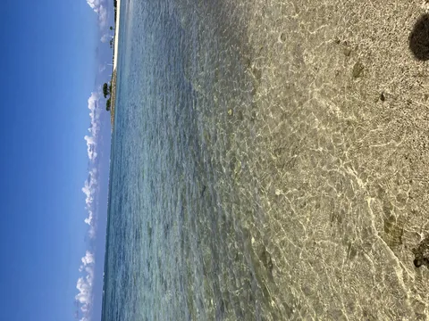 輝く水面と南国の海