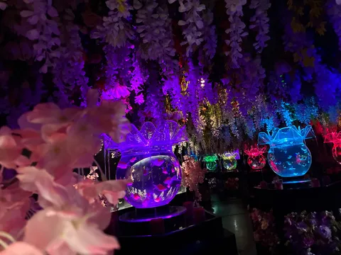 銀座のオシャレな金魚の牢獄