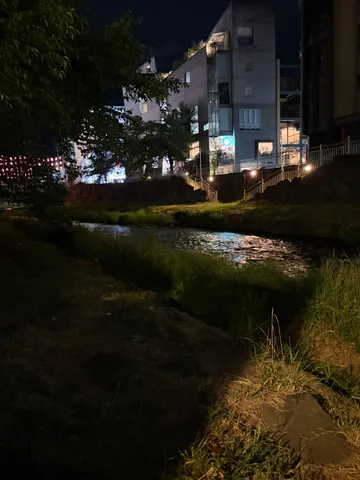 都会のオアシス、夜の小川