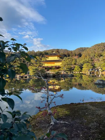 金閣の静寂が映る池